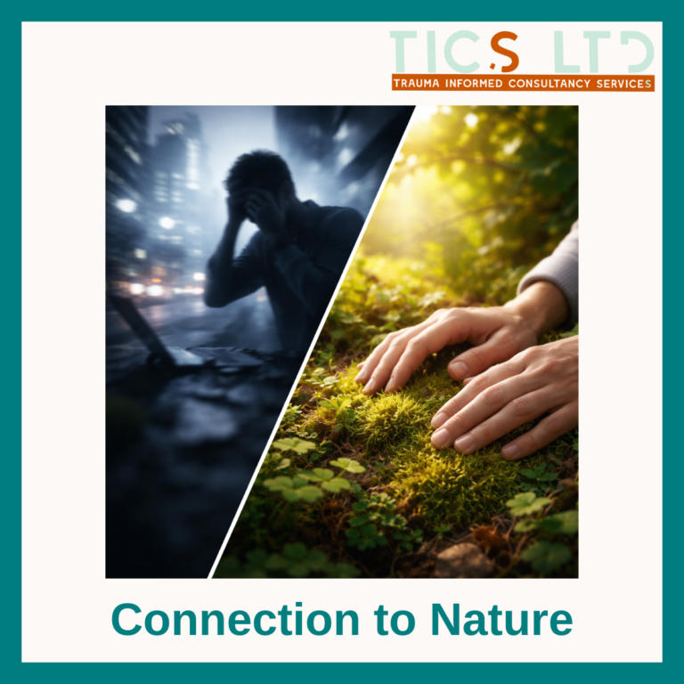 Connection to Nature Training: Integrating Evidence into Clinical Practice